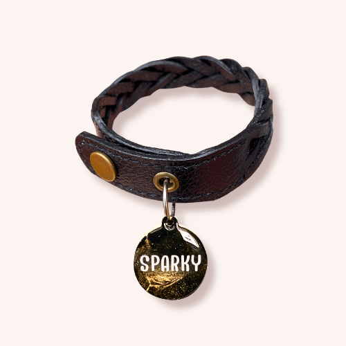 Combo - Collar + Placa MiauChic