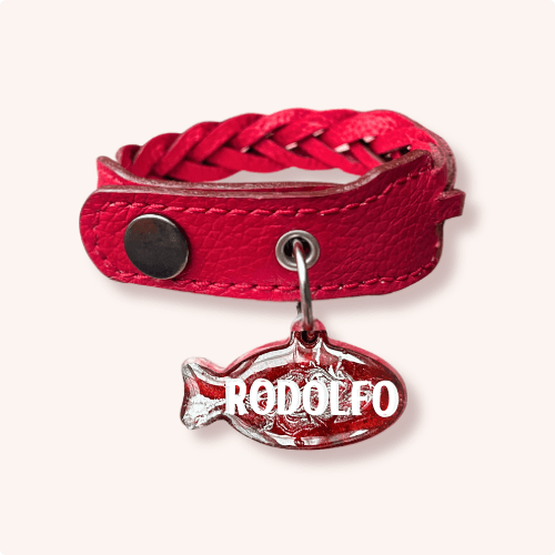 Combo - Collar + Placa MiauChic