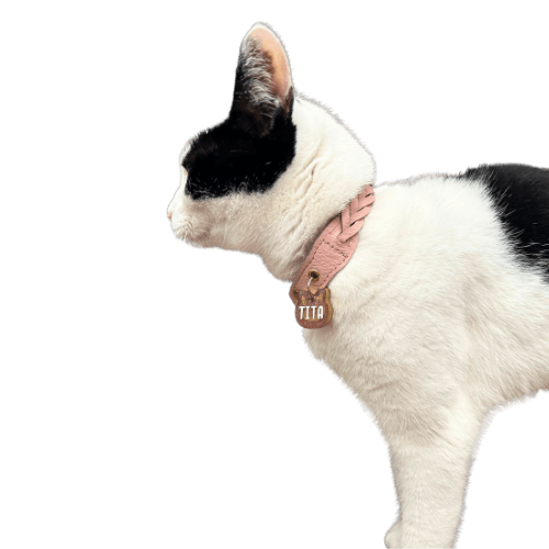 Combo - Collar + Placa MiauChic