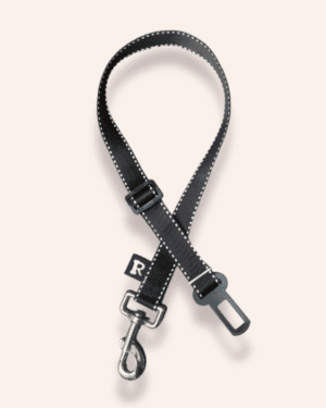 foto de cinturon de seguridad para regalo Regalo – Cinturón de seguridad